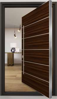 Security entrance door